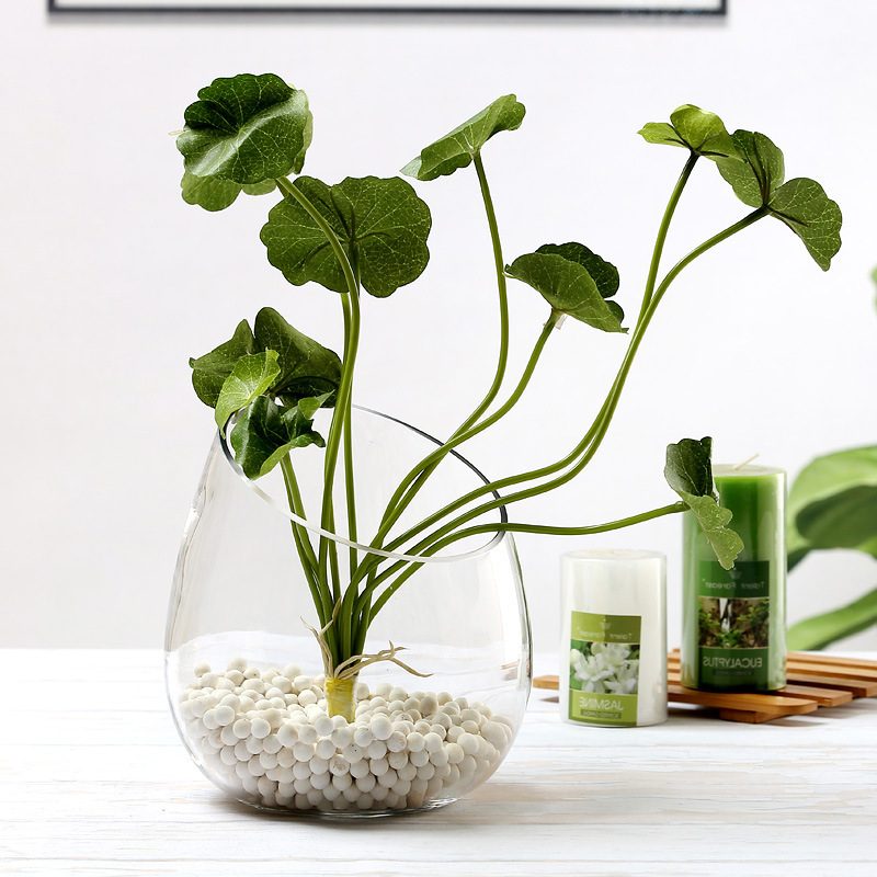Wholesale Glass Vase HP-042 - Image 6